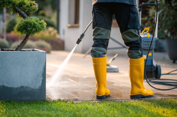 Best Deck Cleaning Services  in , CA